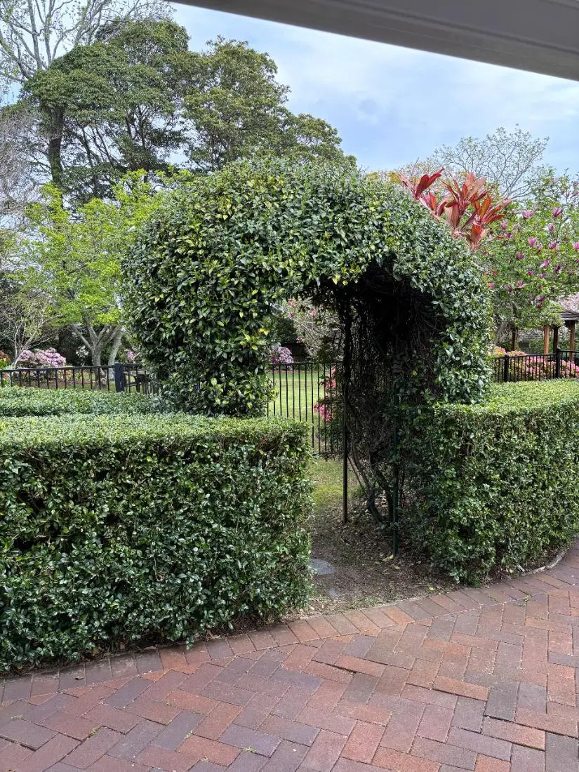Garden Consultation by Status Gardens — clipped hedge archway