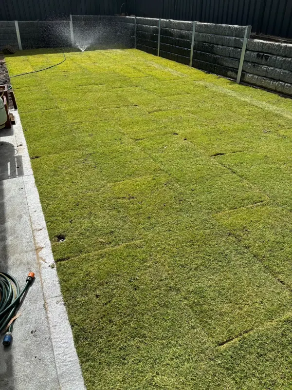 Freshly laid turf being watered in a new backyard