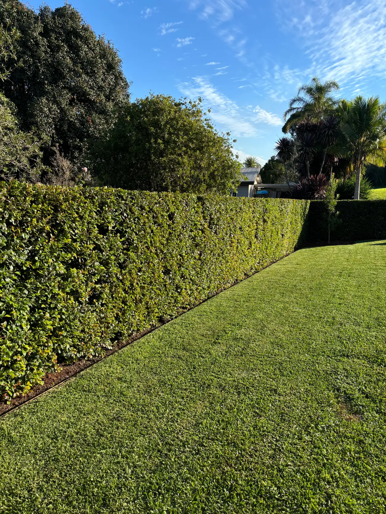 Stepped formal hedges beside a pool