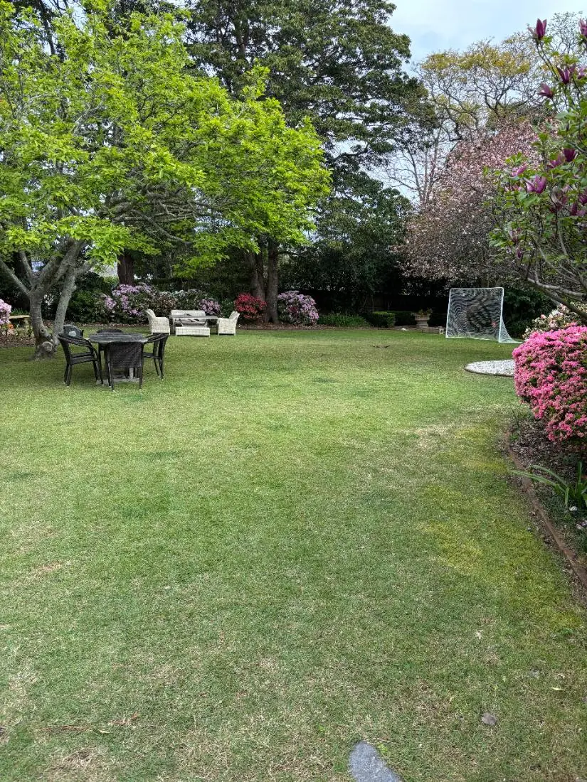 Regular Garden Maintenance by Status Gardens — manicured lawn with azaleas in bloom